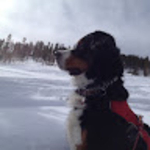 coloradocronin